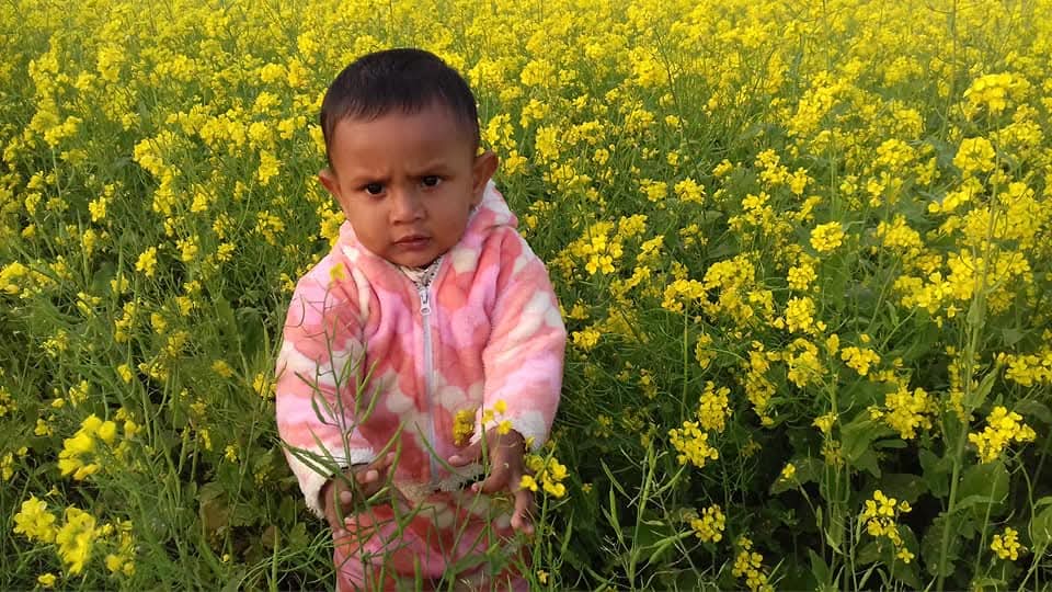 মোঃ ইমান আলী